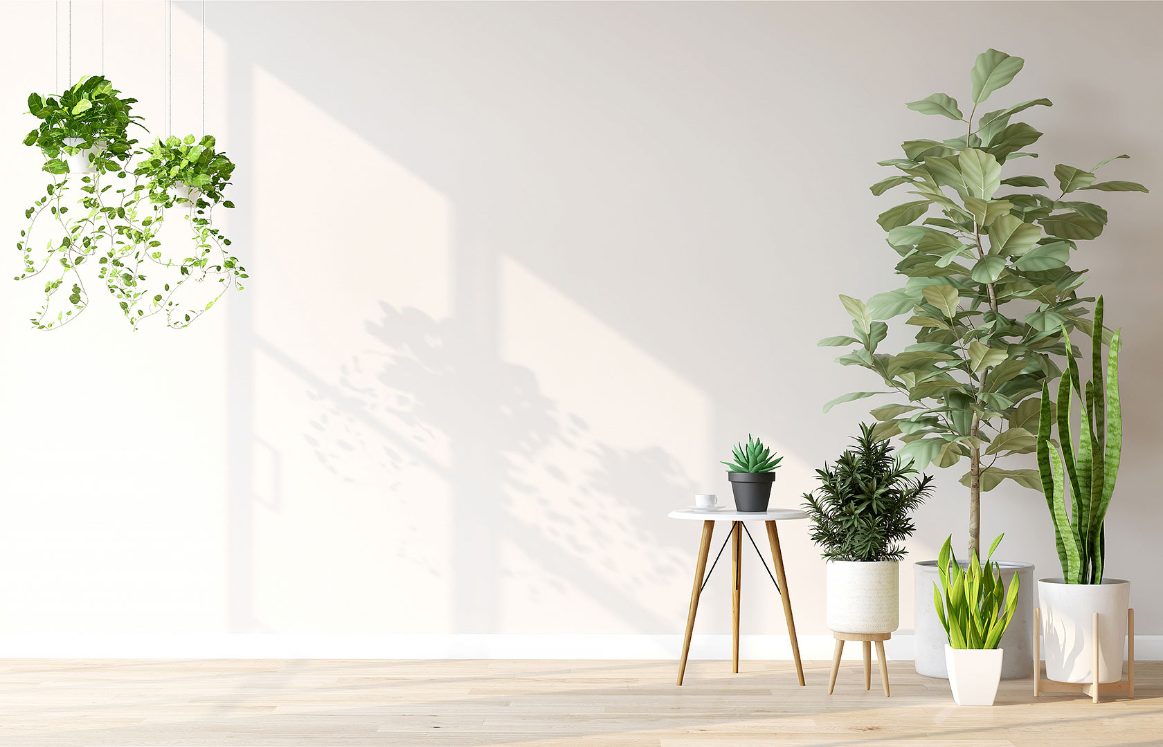 メンテナンスを前提とした植物選び