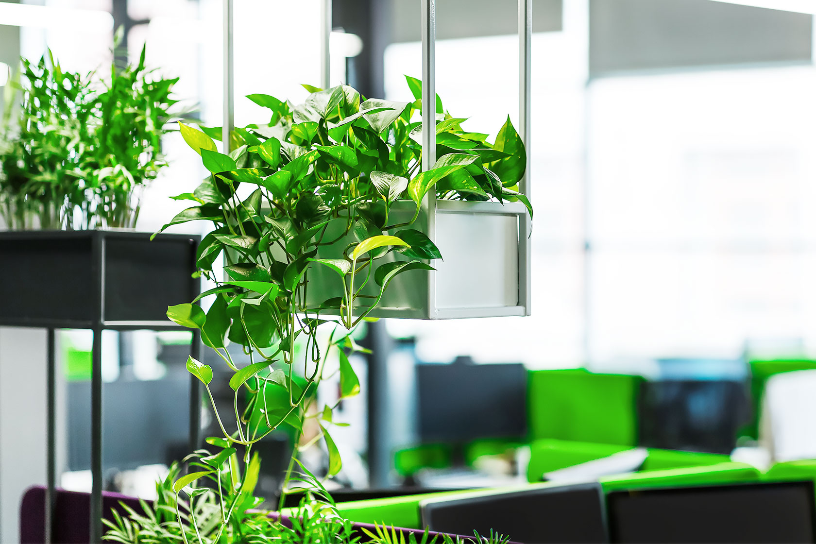 最適な緑視率は10〜15%