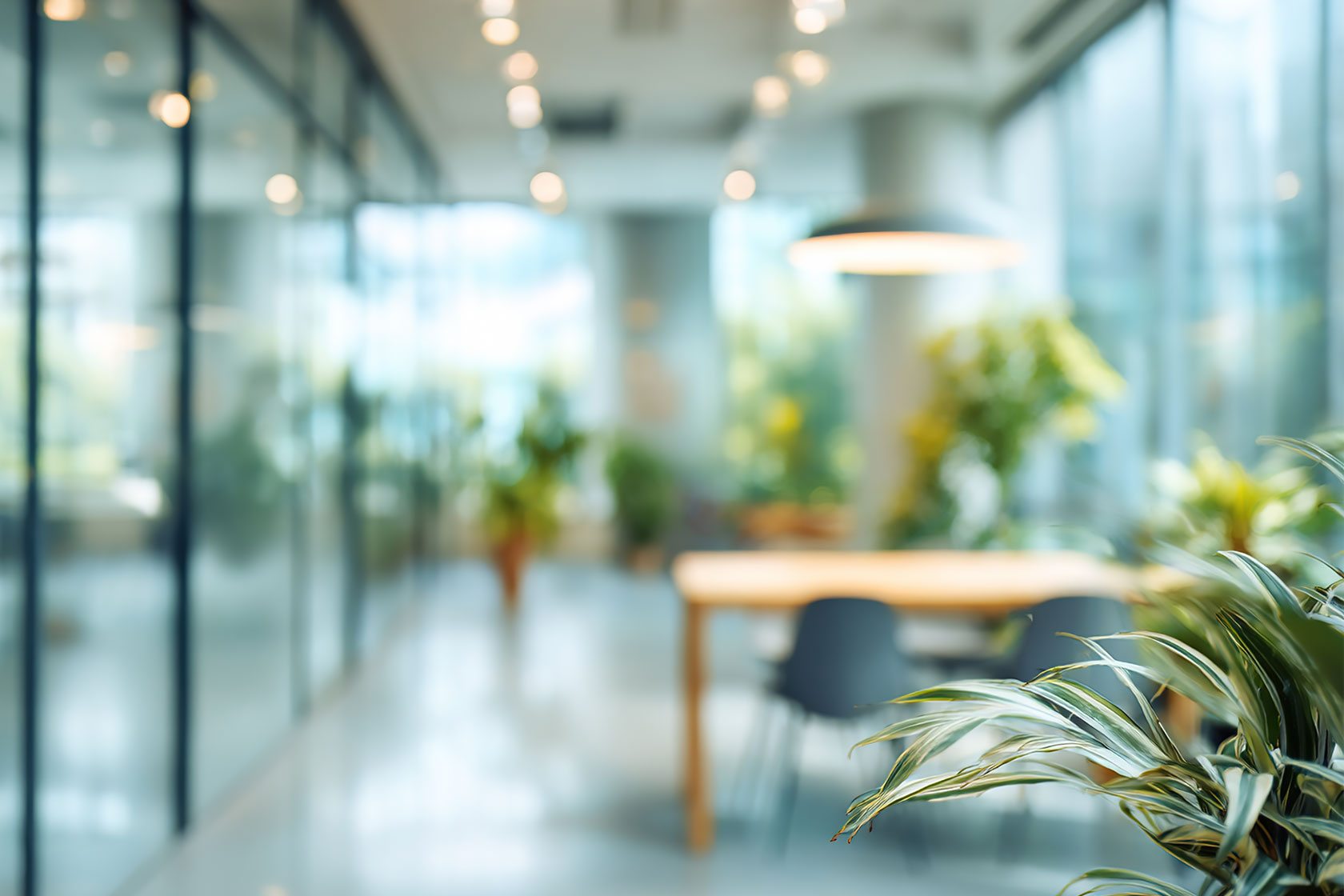 オフィス緑化の導入方法