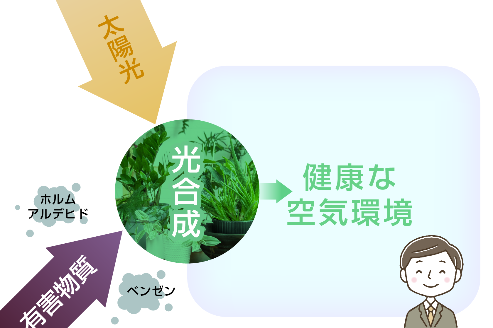 空気浄化と快適な職場環境の実現
